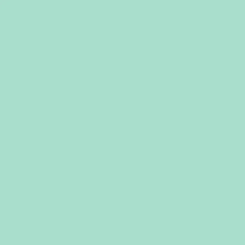 20" Sweet Mint EasyWeed EcoStretch HTV