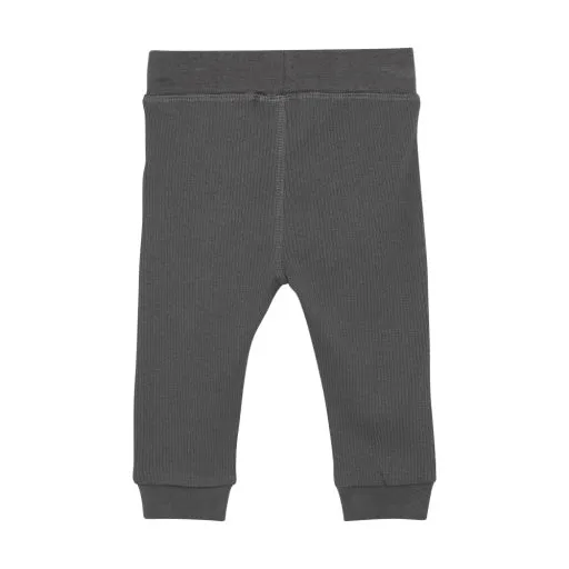 Baby PANTS RIB: GARGOYLE