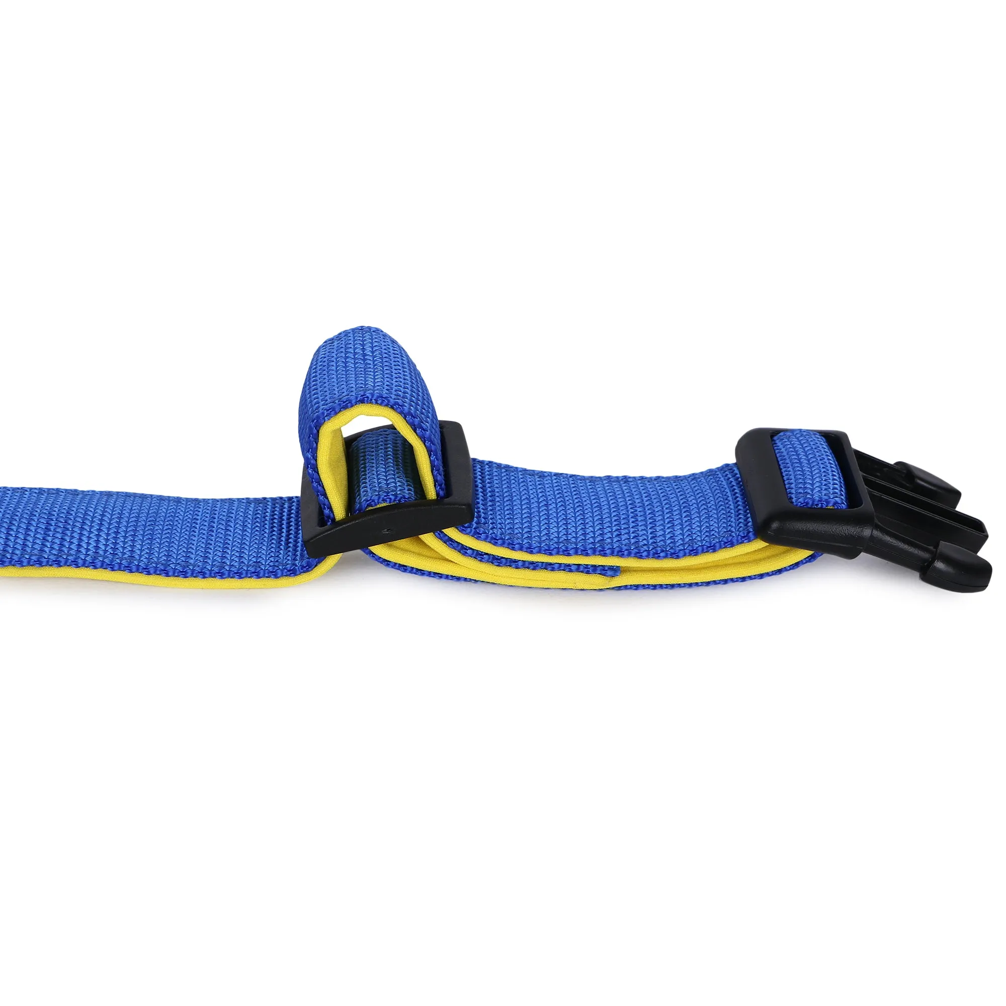 BASIL Padded Adjustable Collar for Dogs & Puppies (Blue)