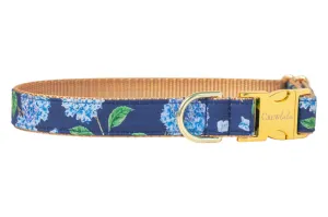 Blue Blooms Dog Collar