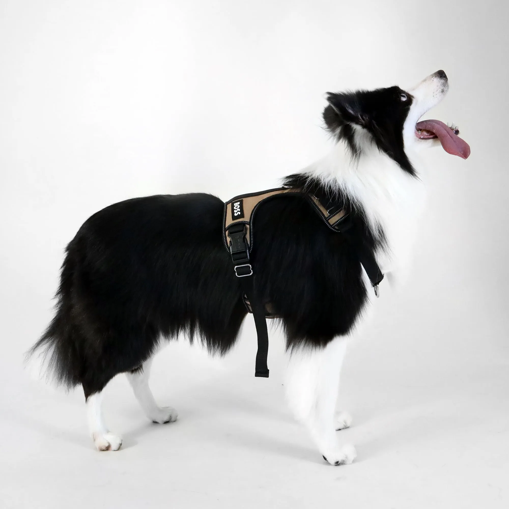 BOSS Dog Essentials Harness