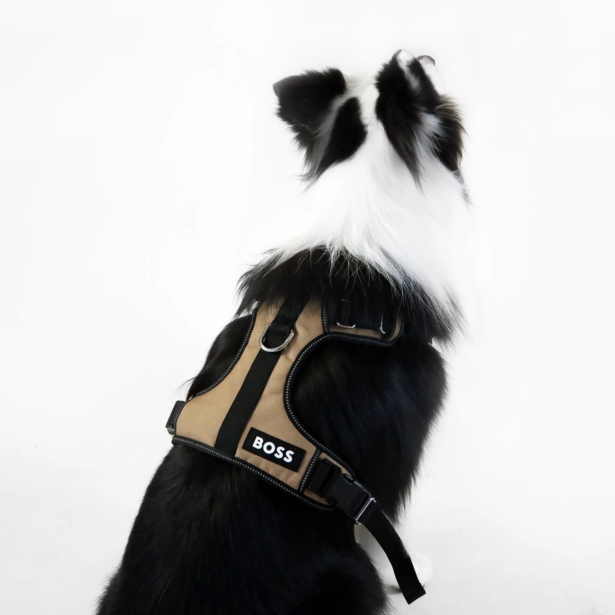 BOSS Dog Essentials Harness