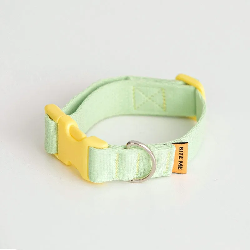 Candy Crayon Collar (6 colors)