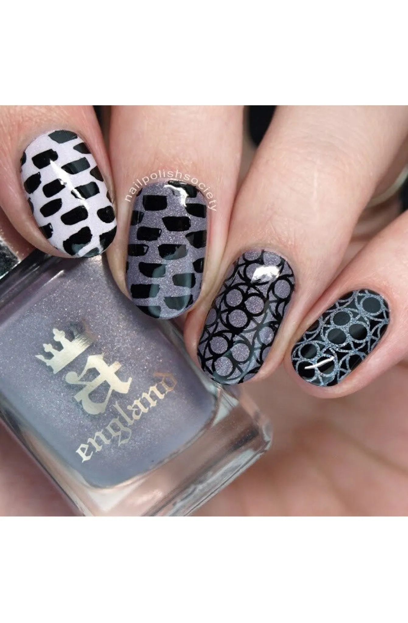 Collection 15