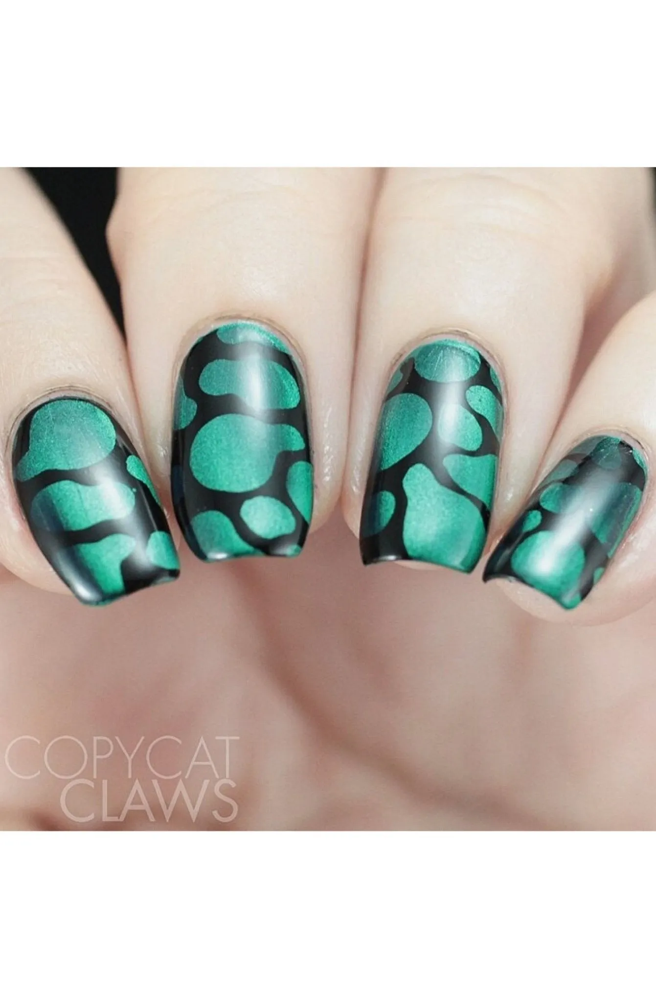 Collection 28