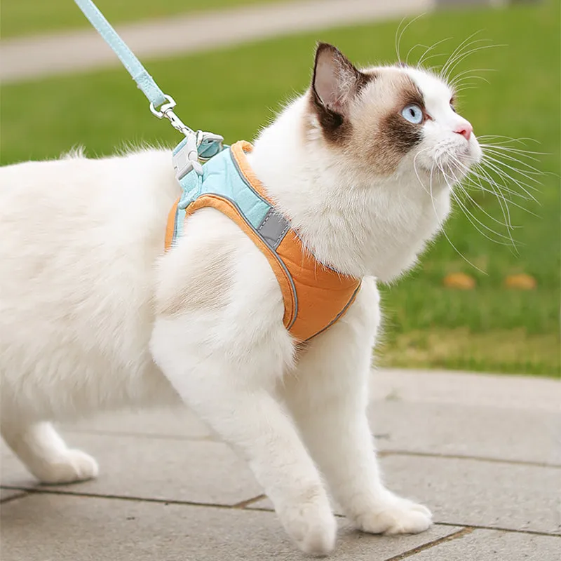 Comfortable Reflective Chest Strap Set