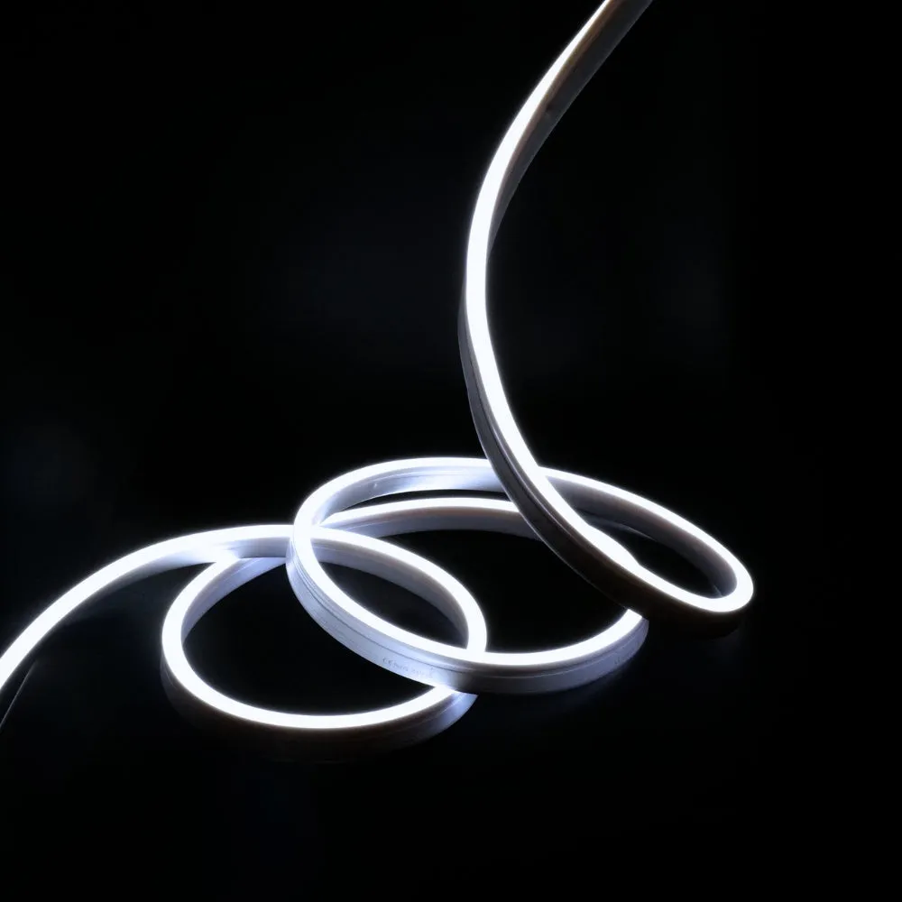 Cool White Neon Flex 6000K 48V 10x20mm IP67 Waterproof 30m