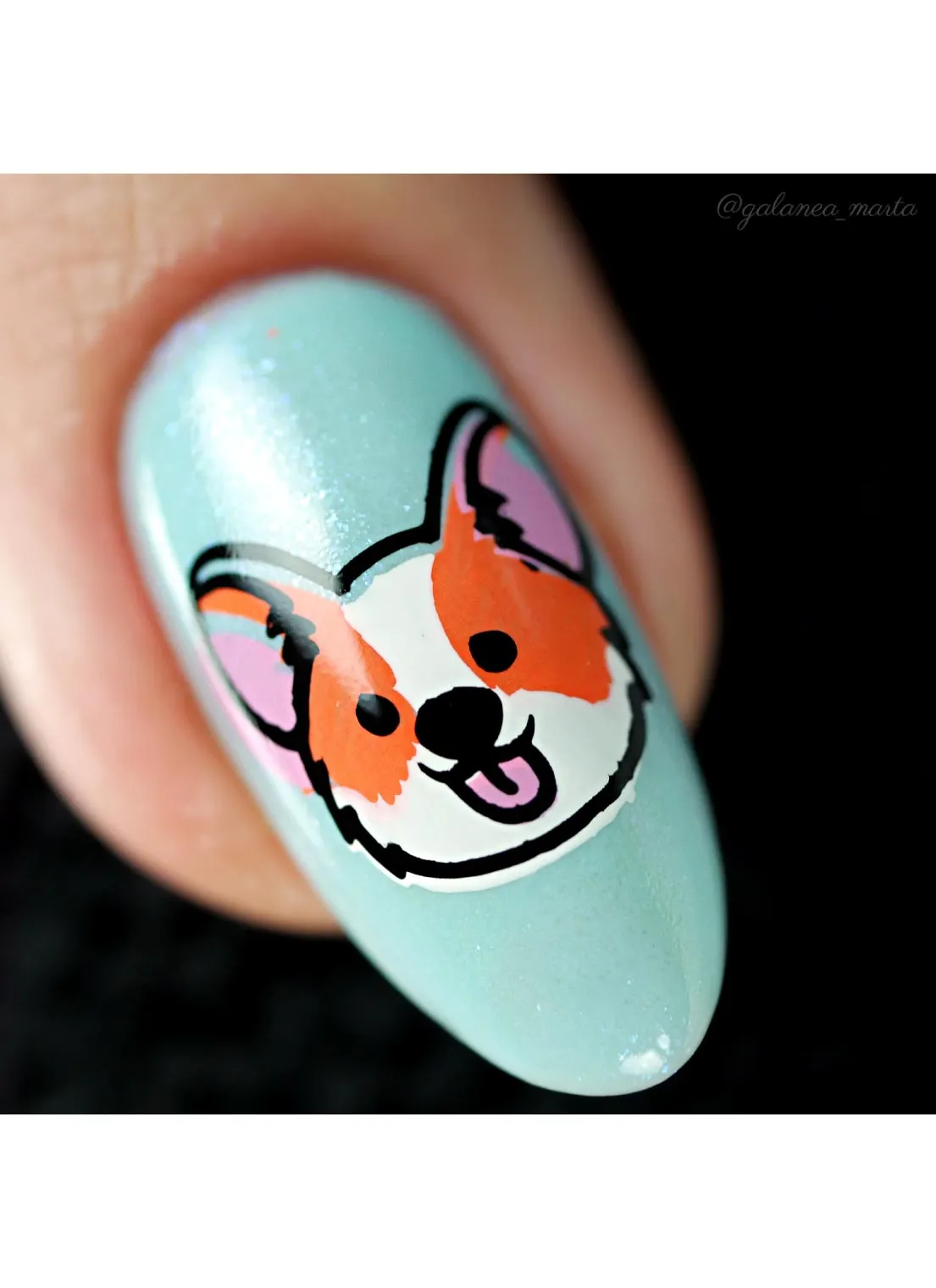 Corgi Love