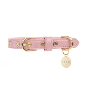 Dog Collar - Musk