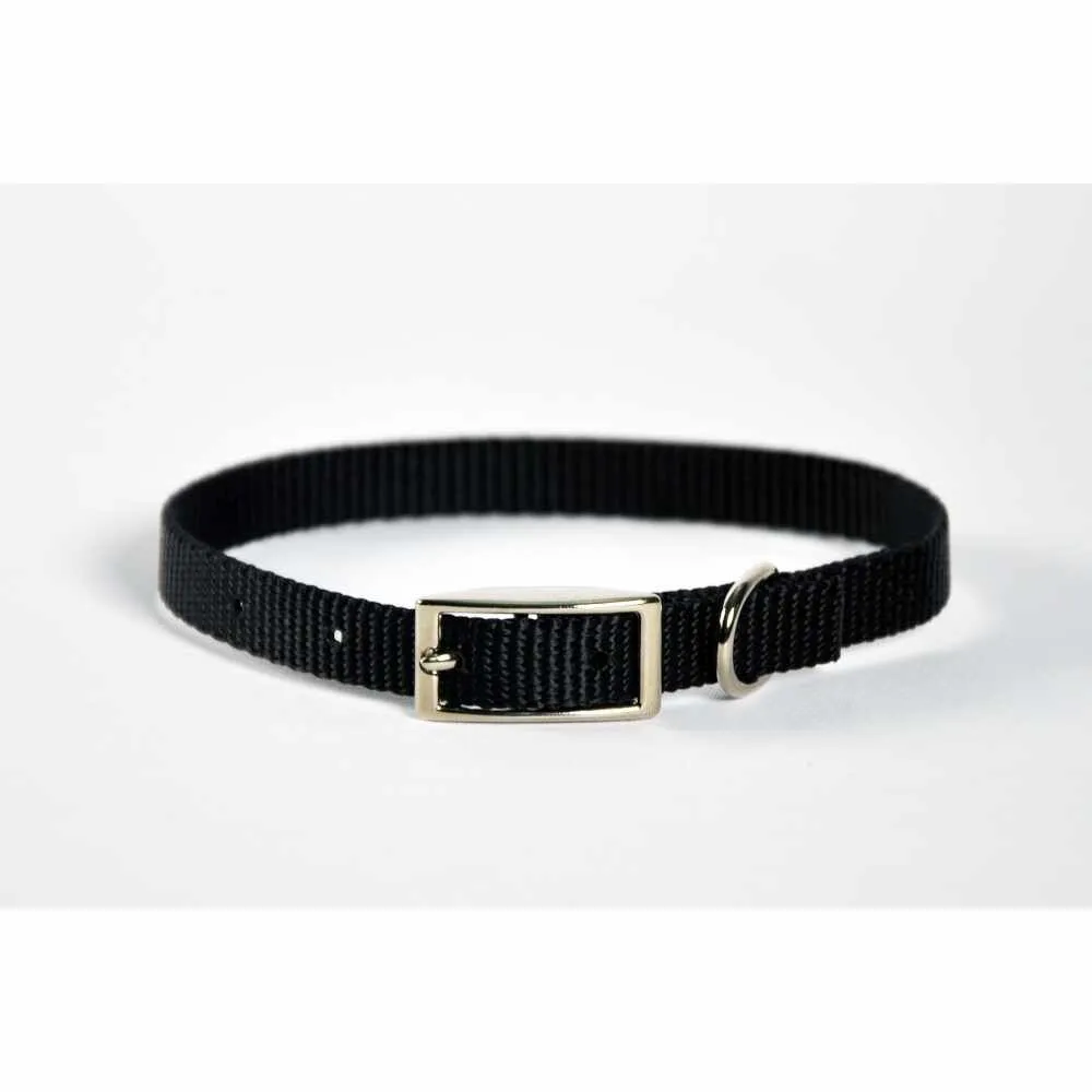 Dog Collar Skinny - 12" Black
