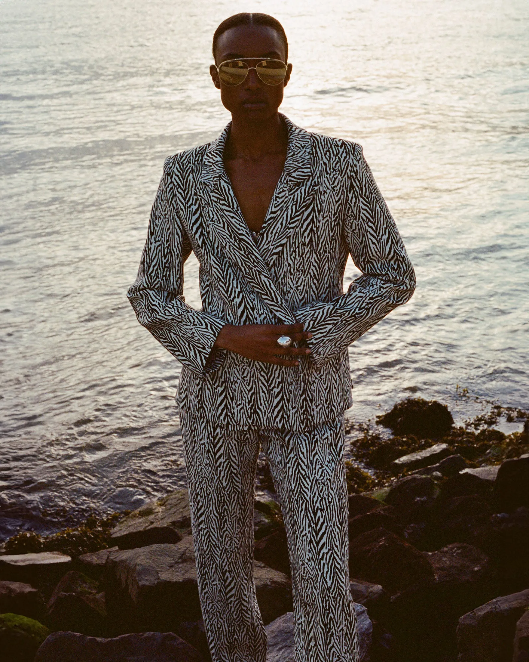 Dree Zebra Blazer