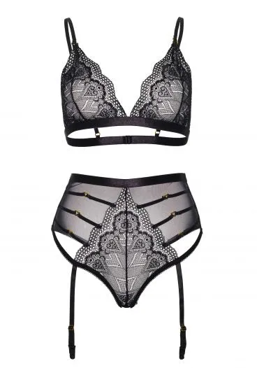 Gorgeous sheer bra set with high-waisted panties