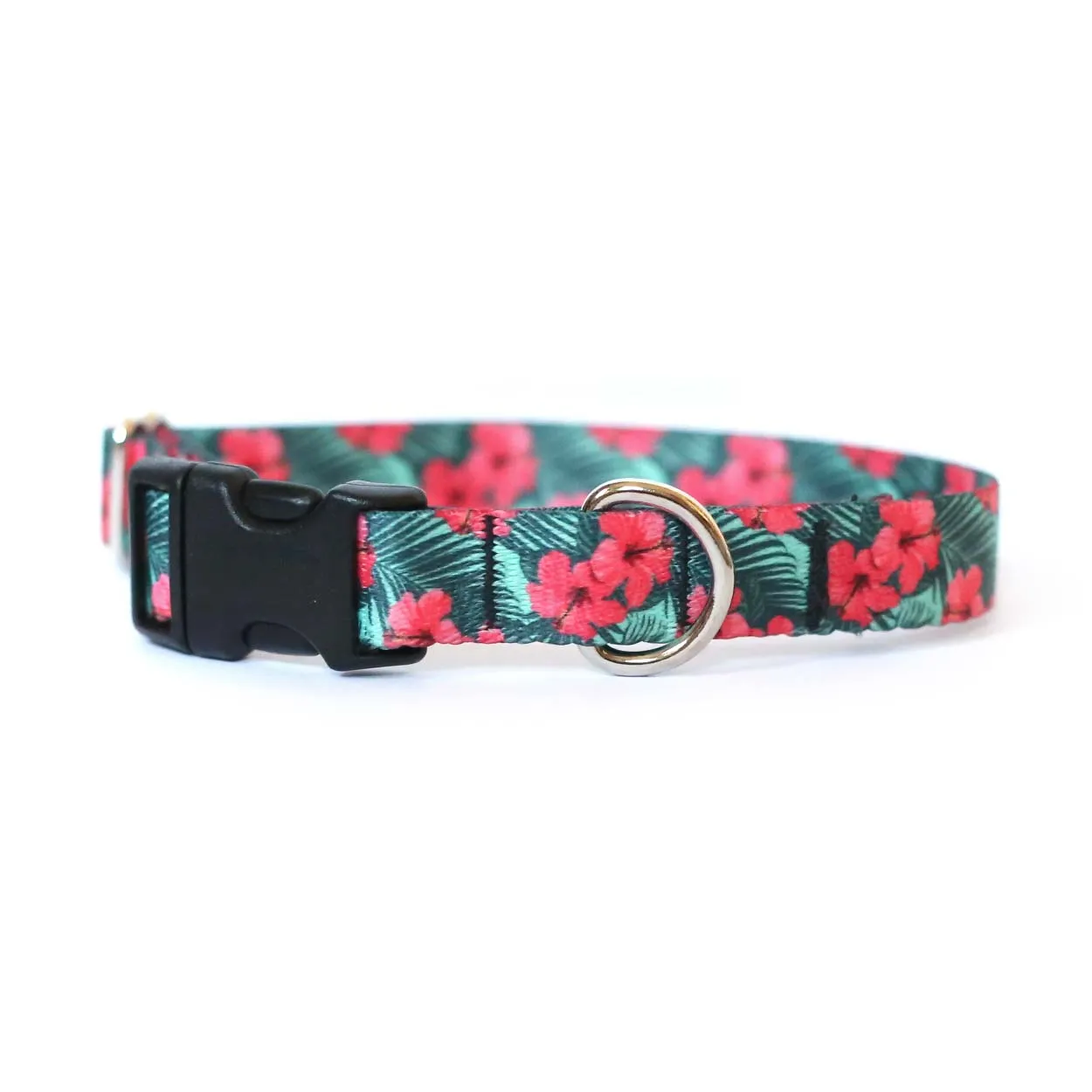 Hibiscus Dog Collar