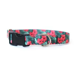 Hibiscus Dog Collar