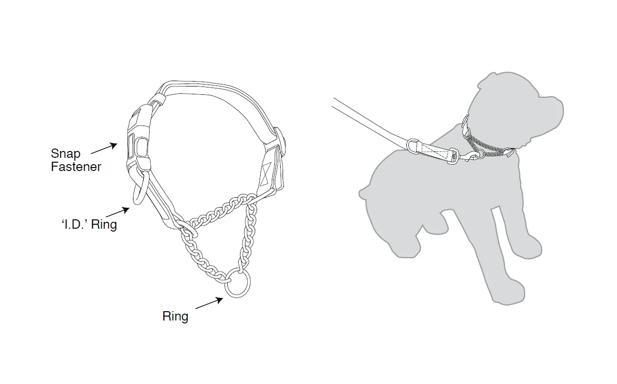 Kumfi - Kombi Martingale Collar (X-Small)