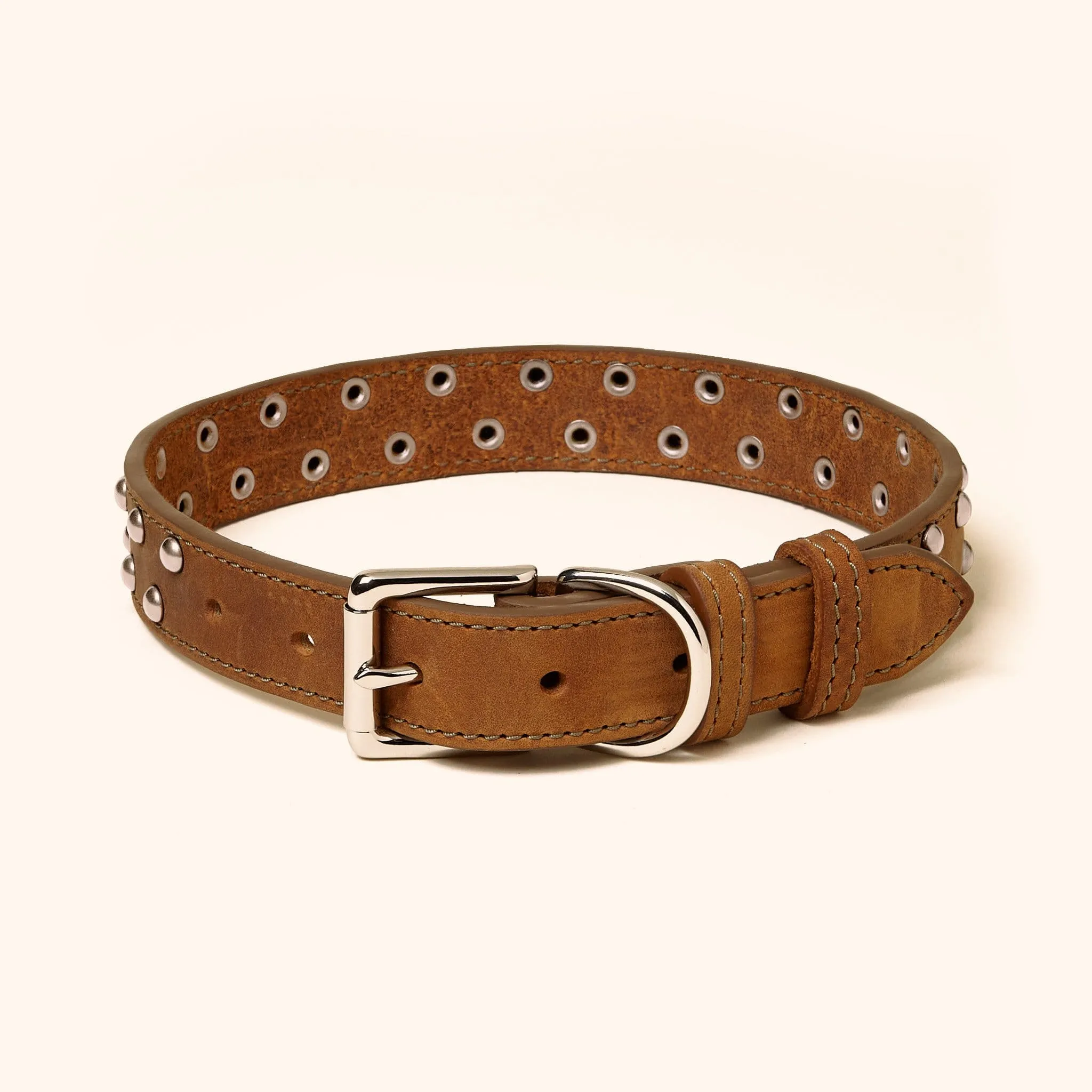 Leather Studded Collar