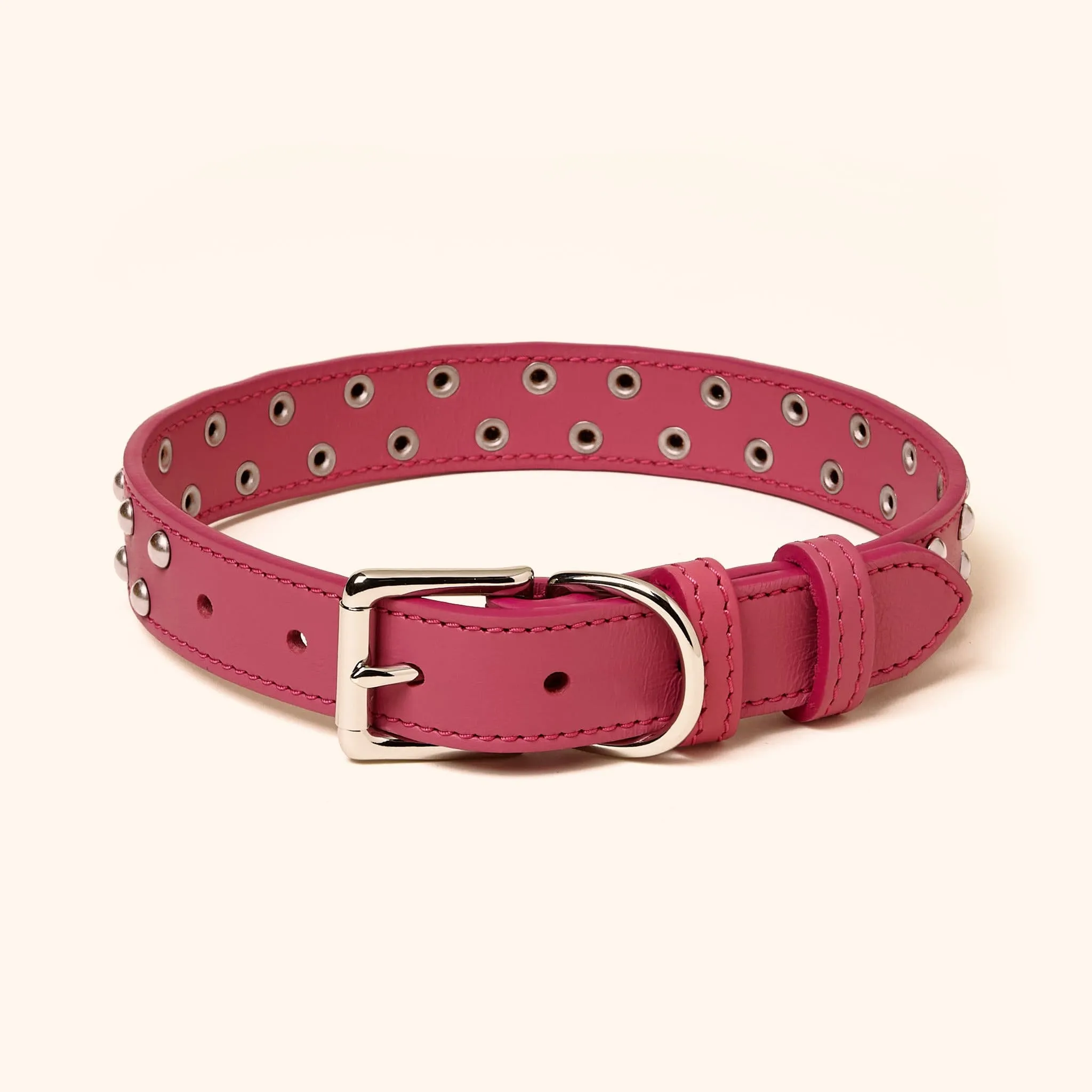 Leather Studded Collar