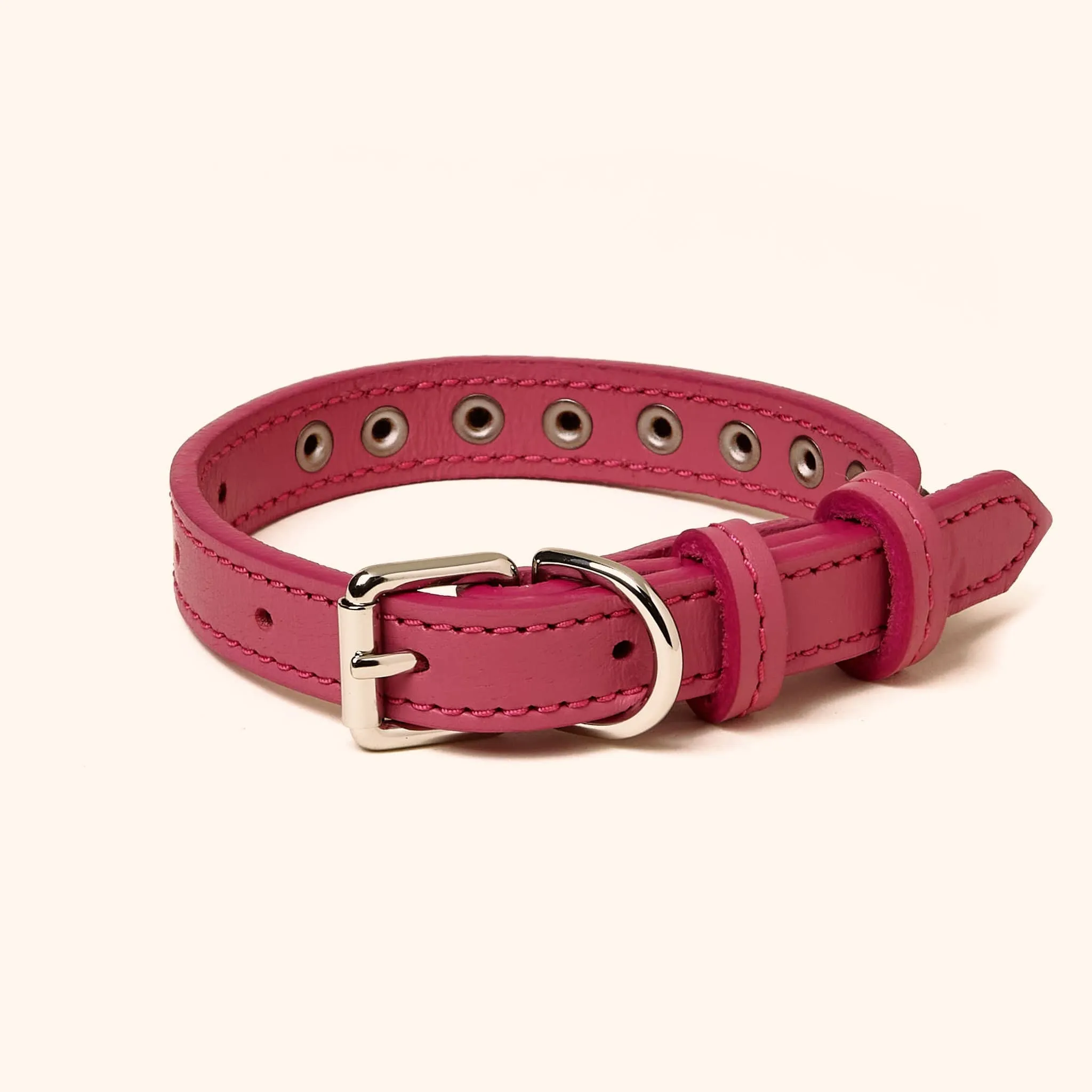 Leather Studded Collar