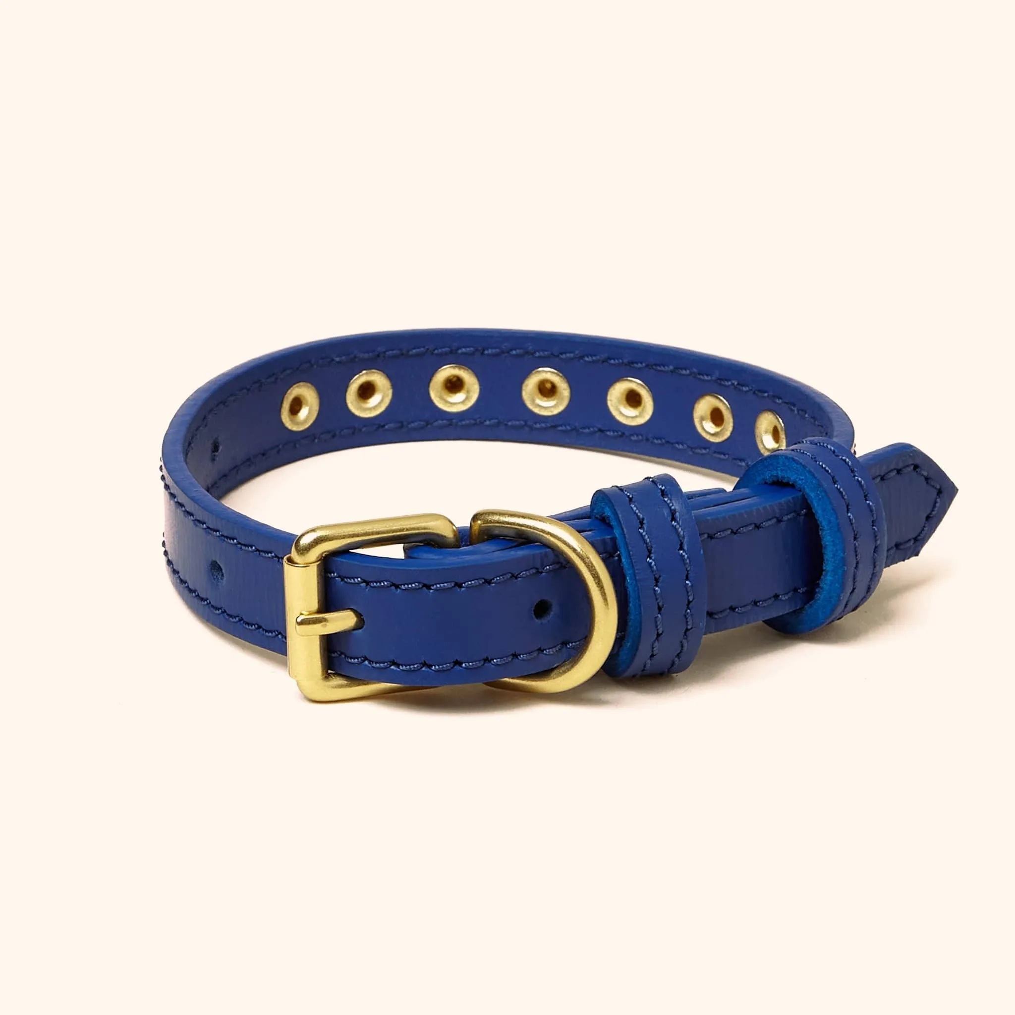 Leather Studded Collar