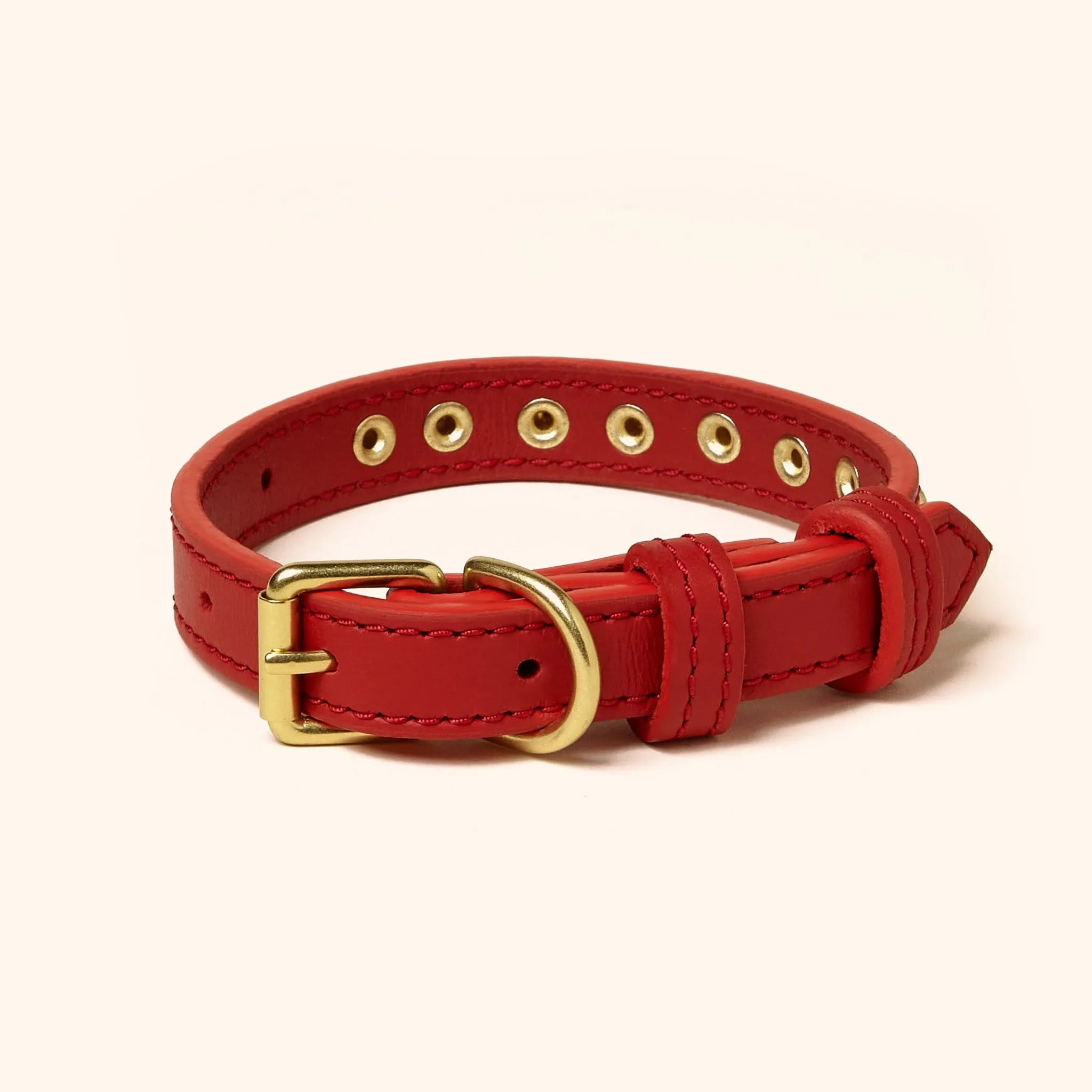 Leather Studded Collar