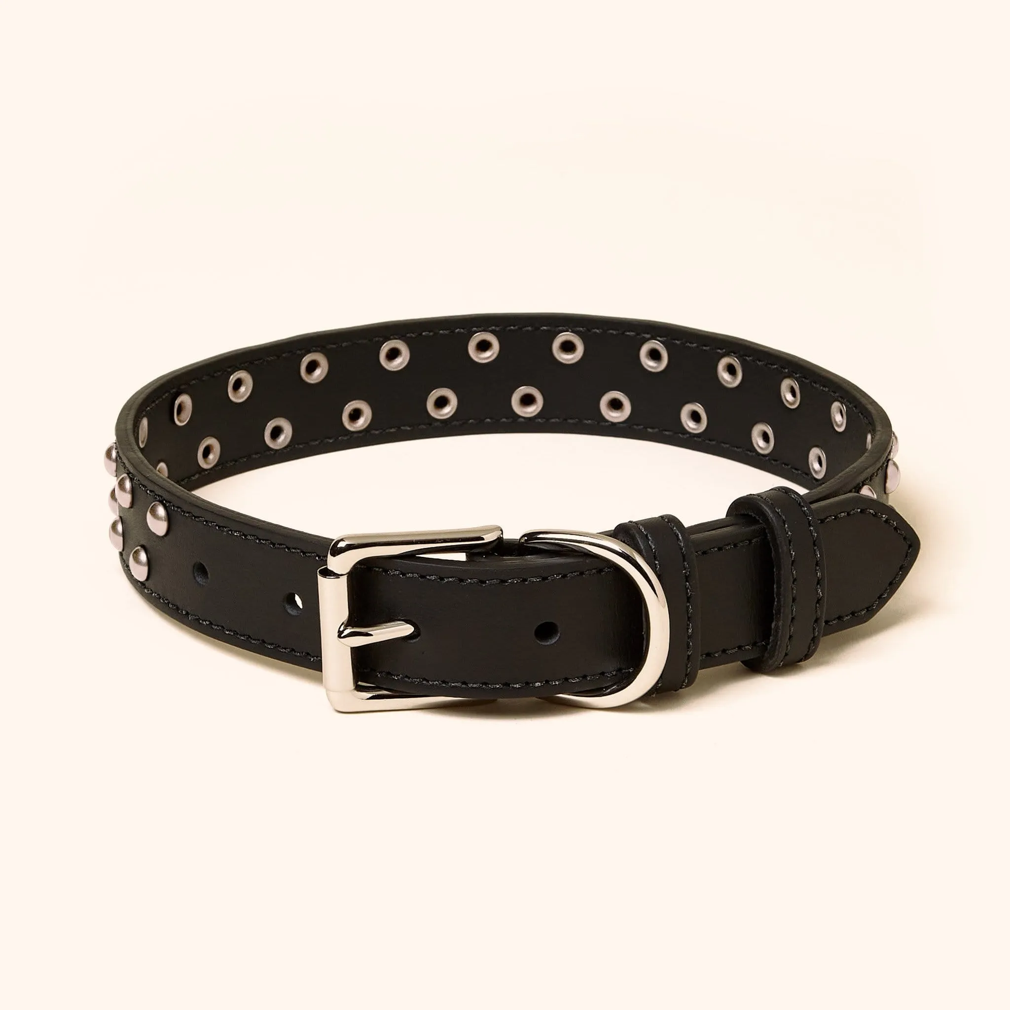 Leather Studded Collar