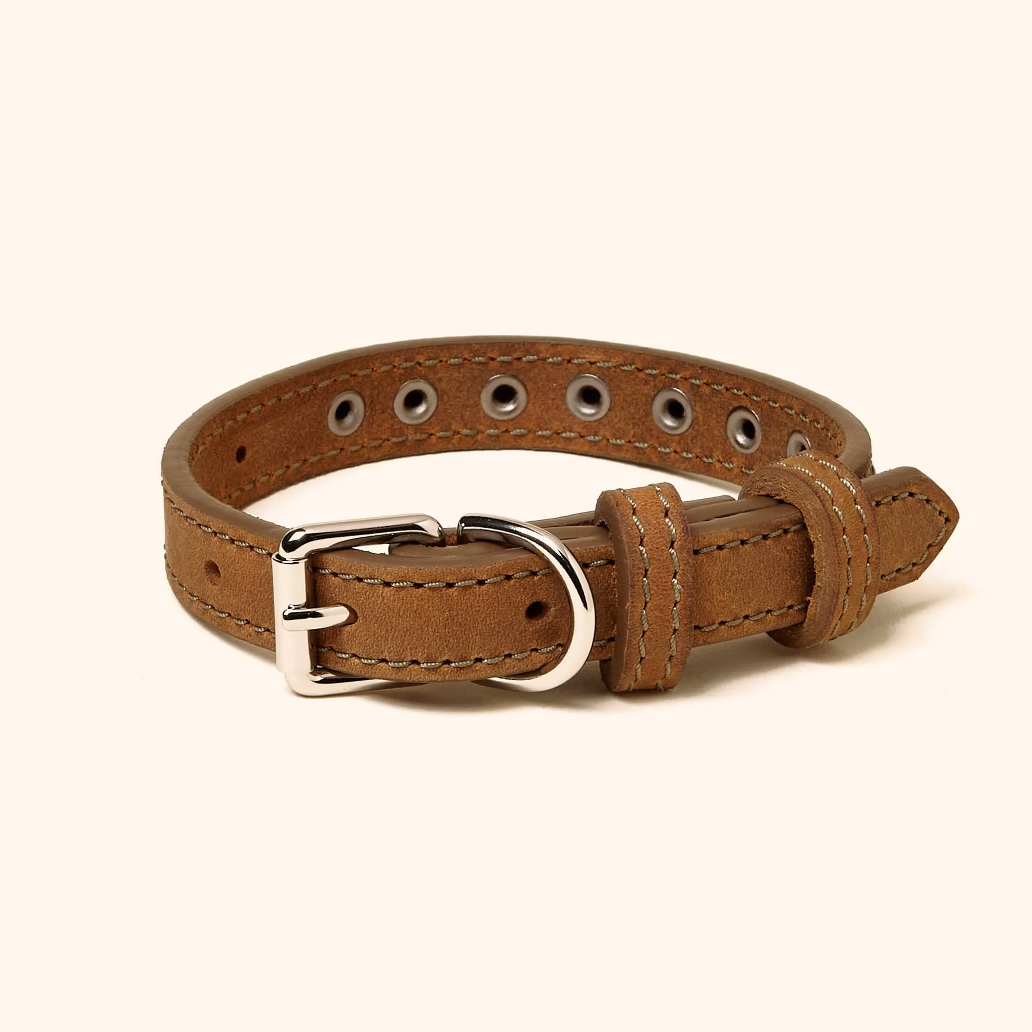 Leather Studded Collar