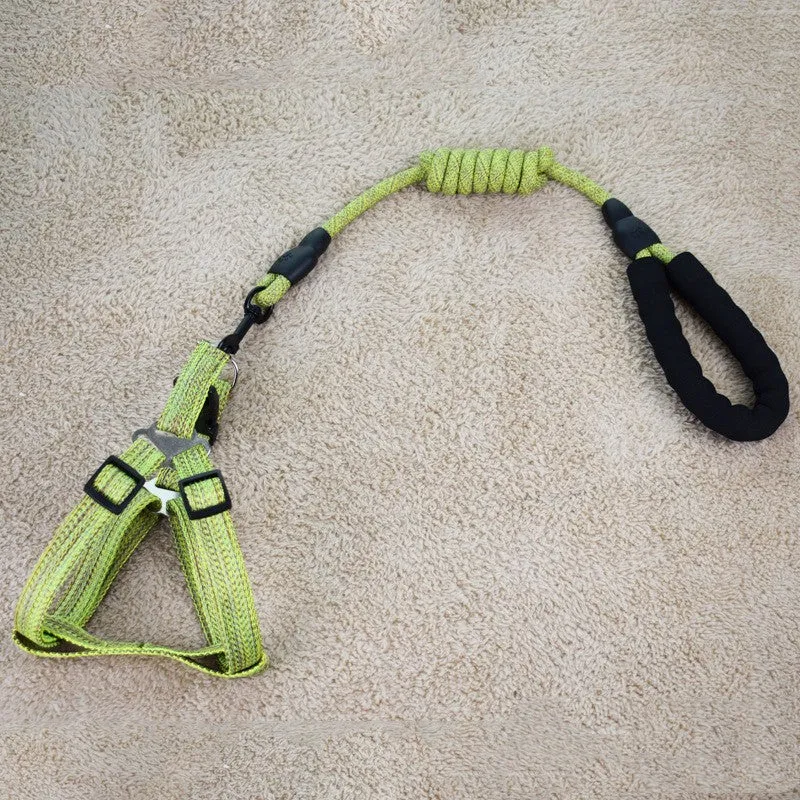 Linen Nylon Alloy Pet Traction Set