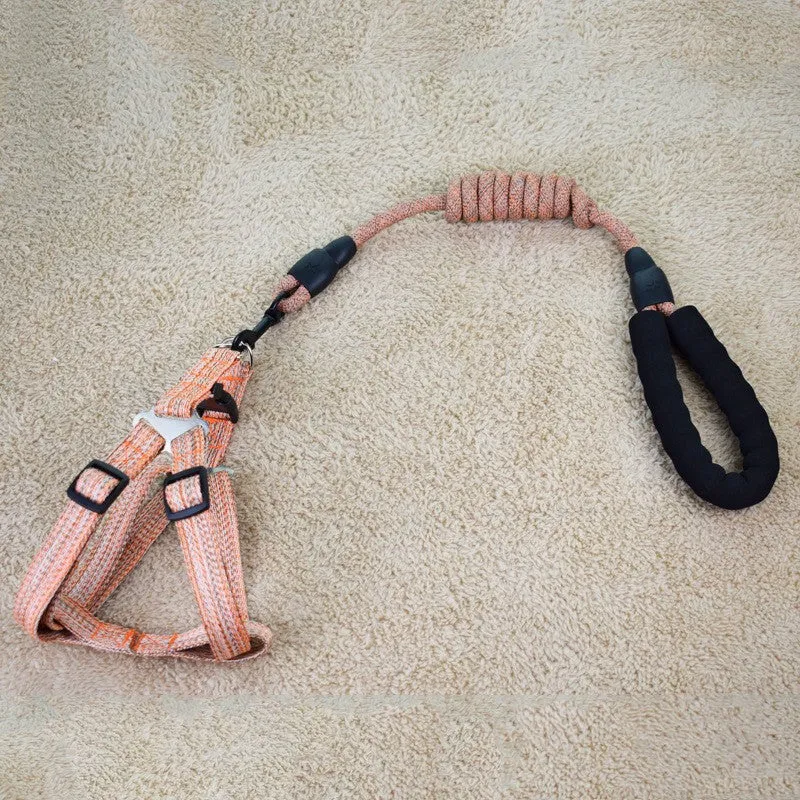 Linen Nylon Alloy Pet Traction Set