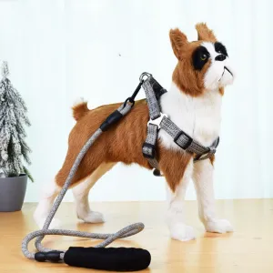 Linen Nylon Alloy Pet Traction Set