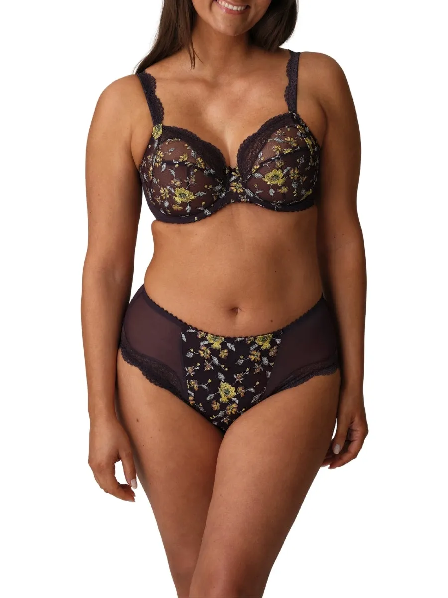 Malba Full Brief