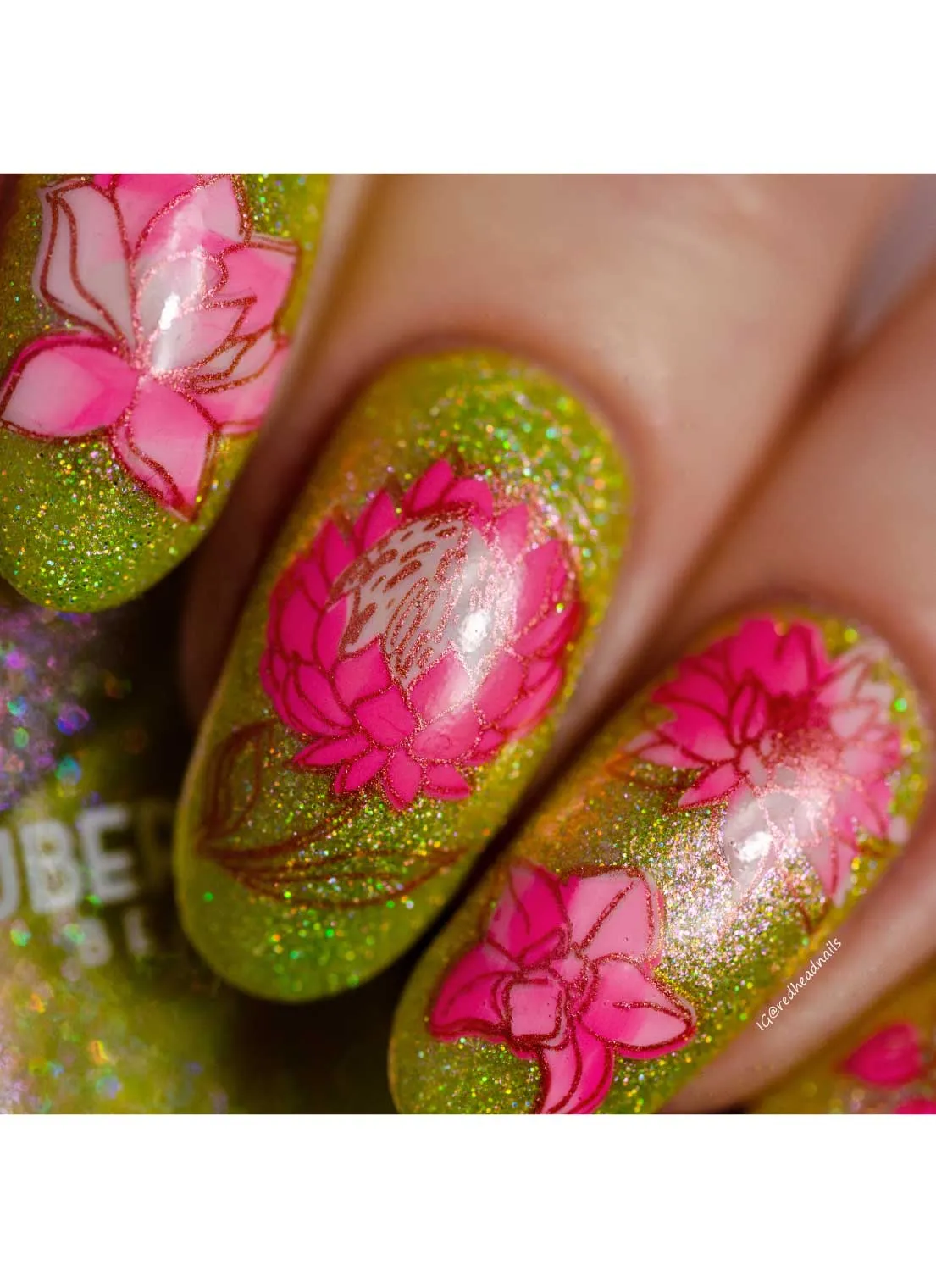 Secret Garden-02