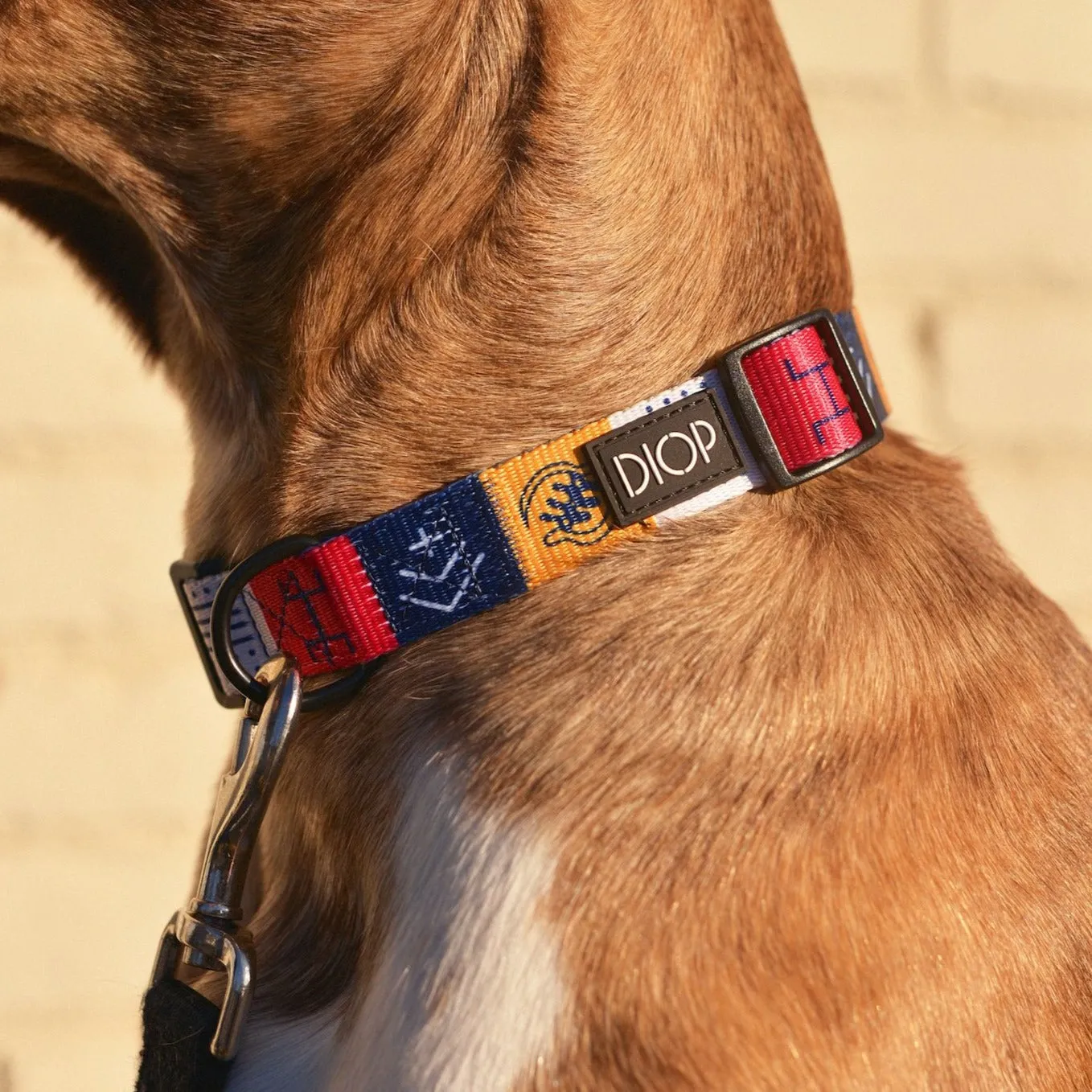 The Harmata Dog Collar