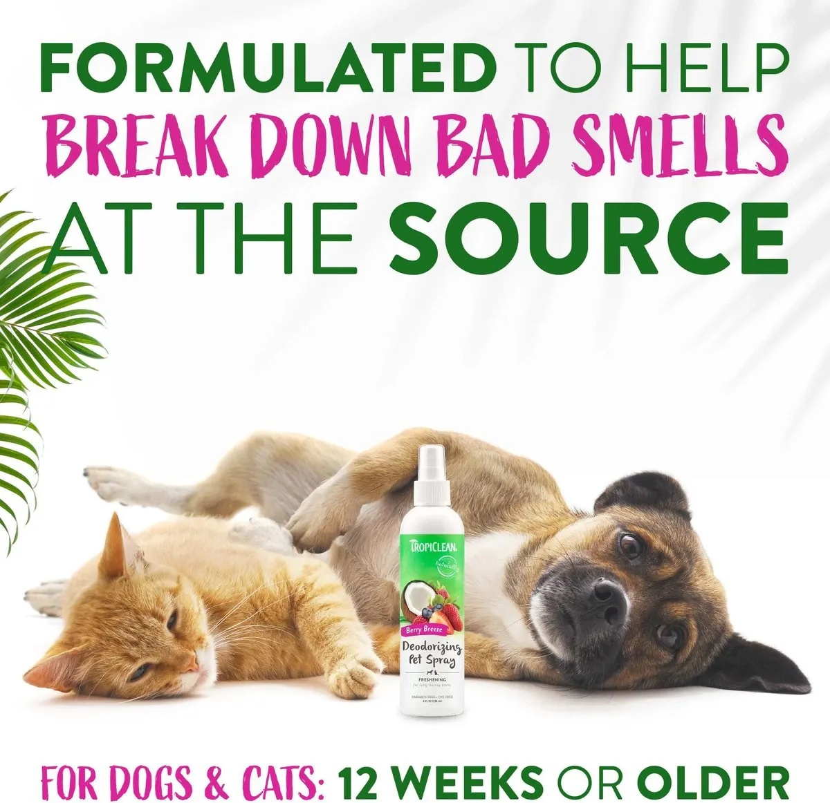 Tropiclean Berry Breeze Deodorizing Spray for Pets (8 oz)