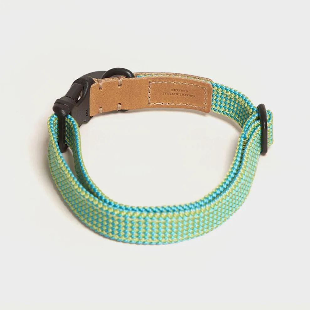 We Are Tight Ribbon Collar Palm Tree
